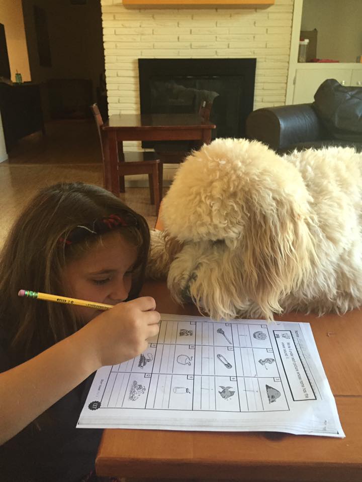 Jojo helps with 
 homework!